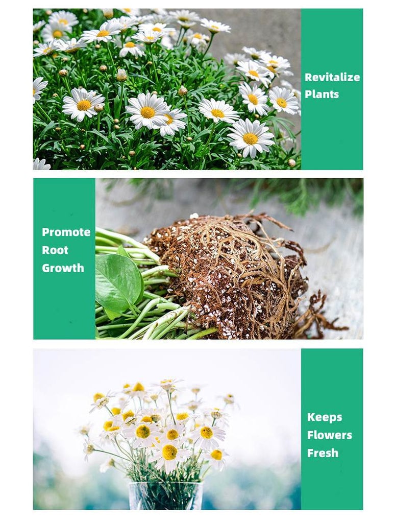 TerraBoost – Root Growth Accelerator