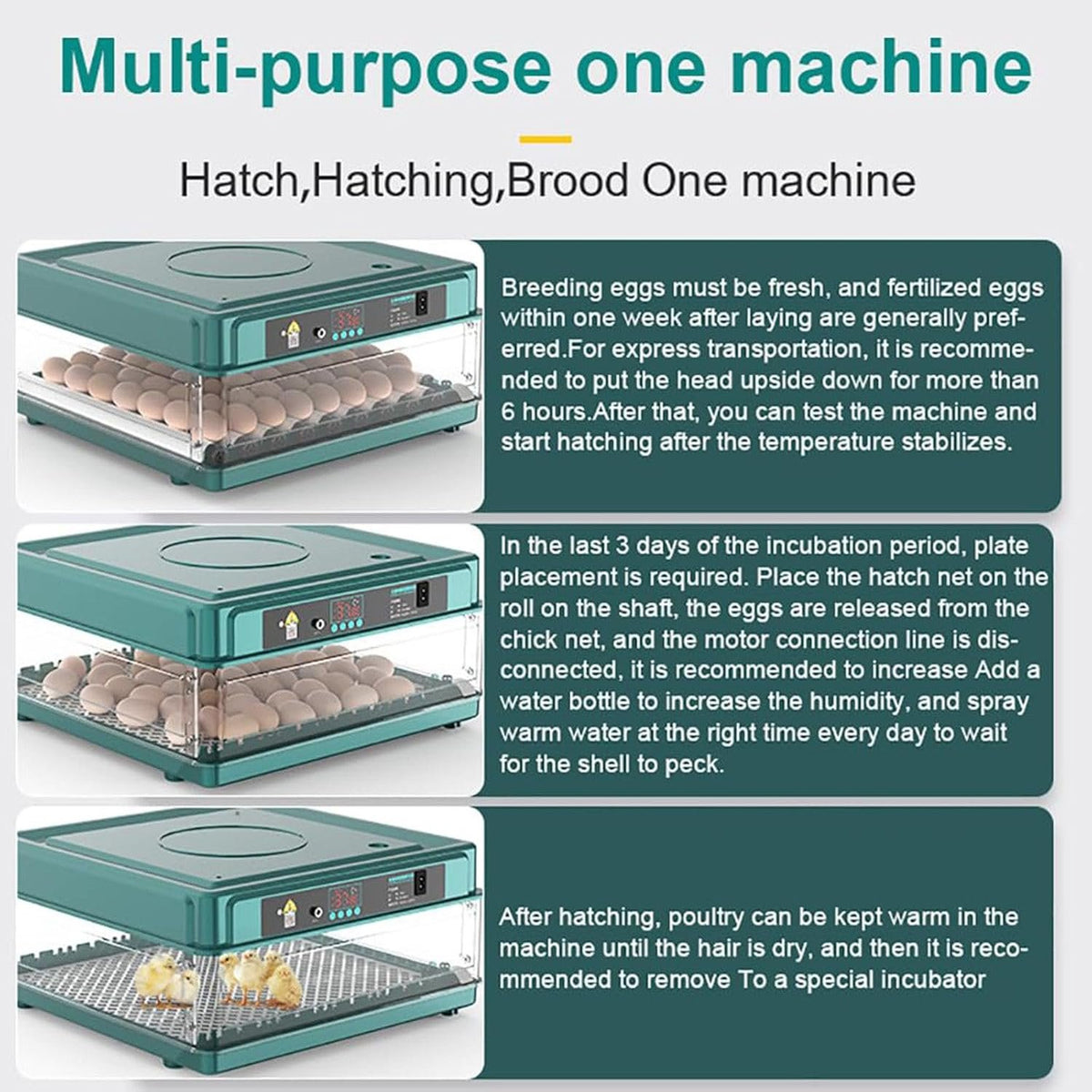 HatchVanta – 38-Egg Automatic Digital Egg Incubator