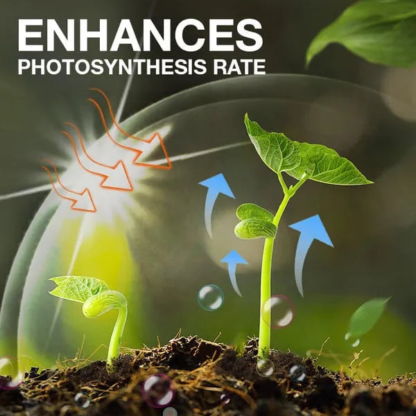 RootRise – Rapid Plant Growth Enhancer