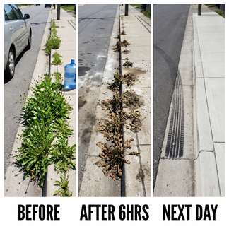 WeedVanish – Professional Herbicide