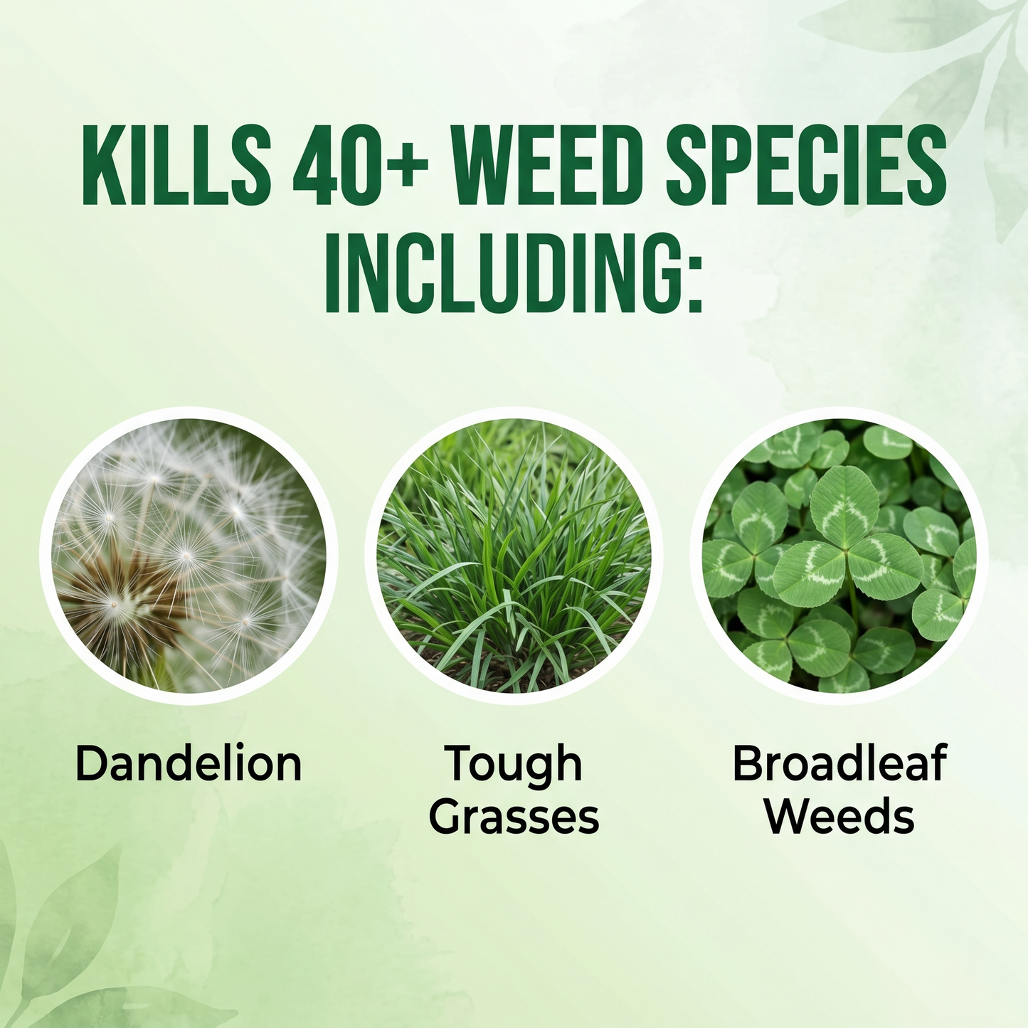 WeedVanish – Professional Herbicide