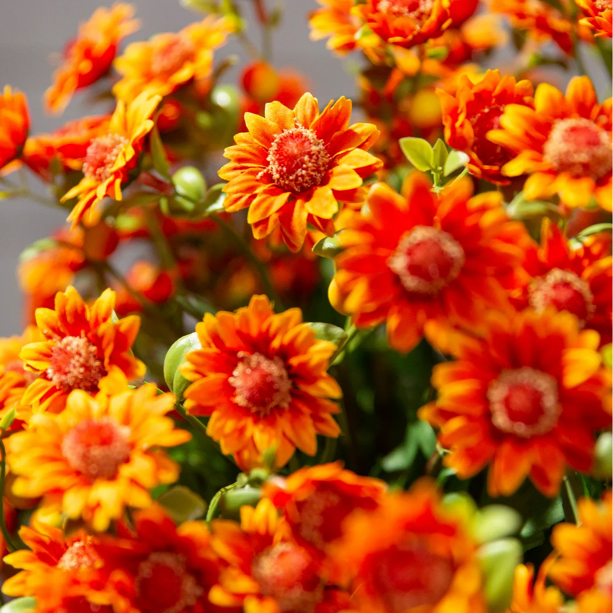 FallPetals – UV-Resistant Seasonal Flower Bundles