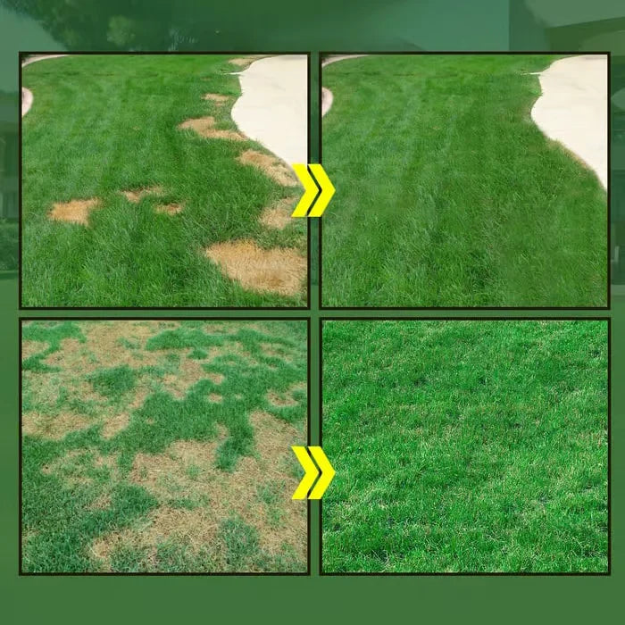 LawnRevive – Instant Spray Grass Repair Kit