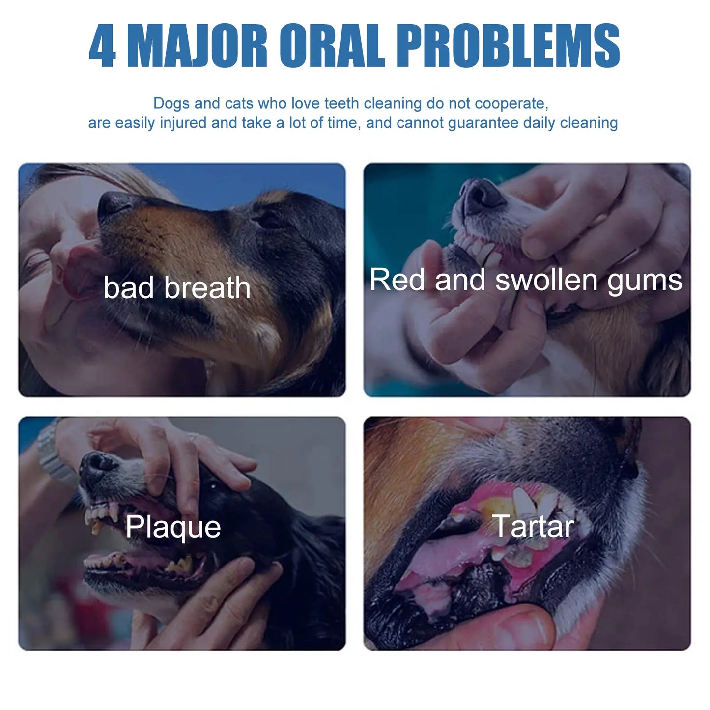 PetSmile –  Dental Tartar Remover