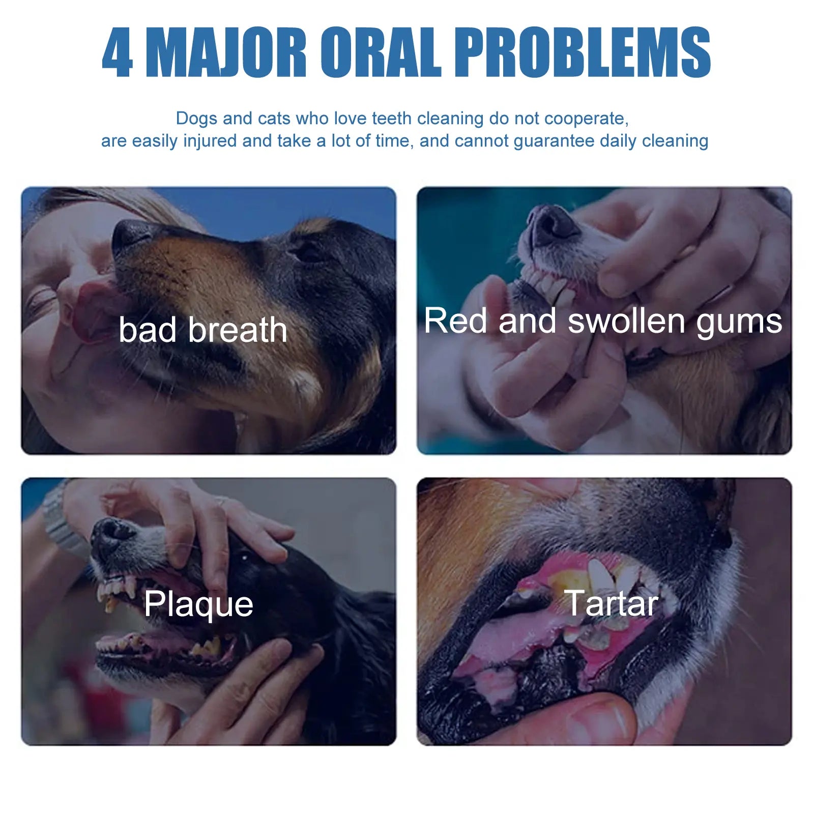 PetSmile –  Dental Tartar Remover