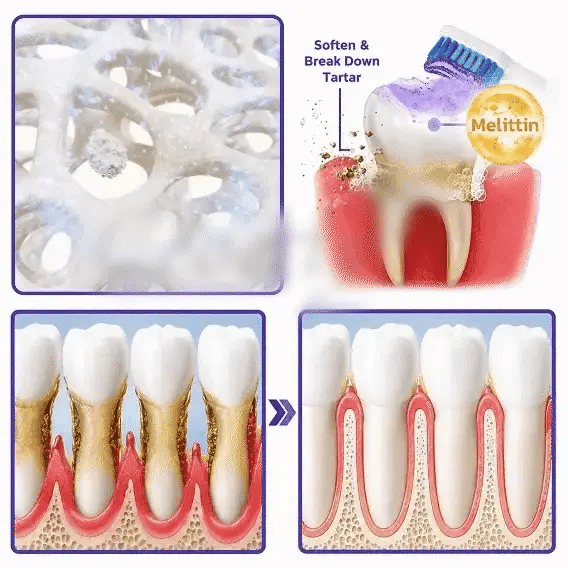 GumVanta - Bee Venom Oral Care Toothpaste