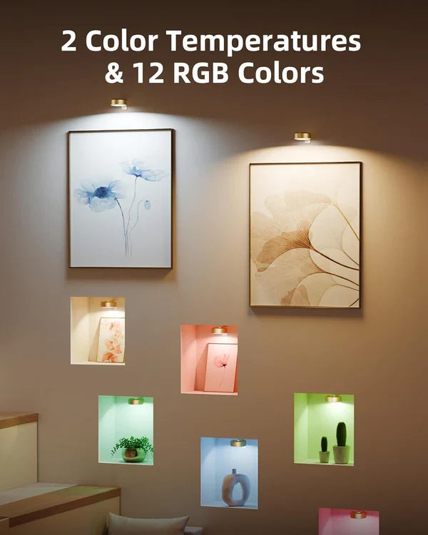 MagnaGlow - Adjustable Art Display Light