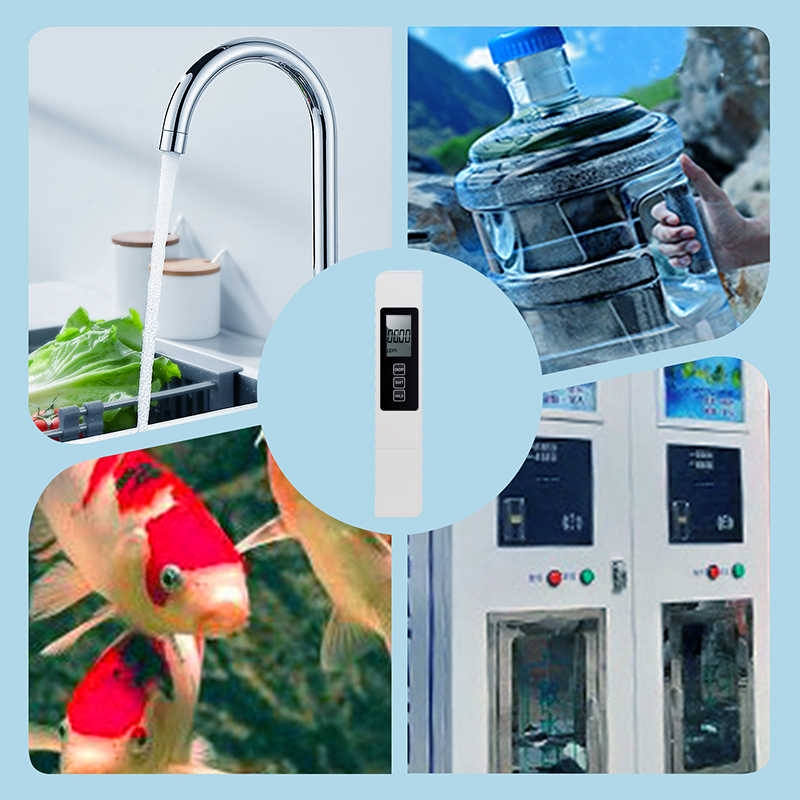 AquaVanta – 3-In-1 Digital Water Quality Tester