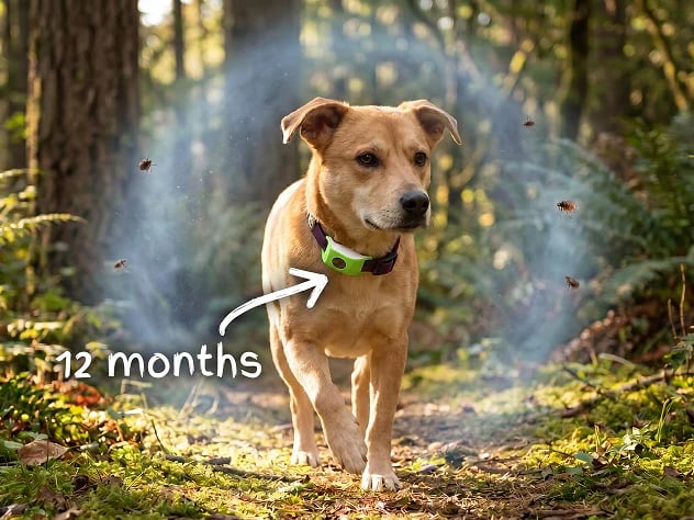 TickAway – Pet Protection Pendant