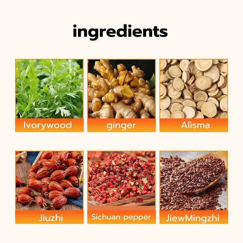 HerbaBalance – Japanese Herbal Wellness Patch