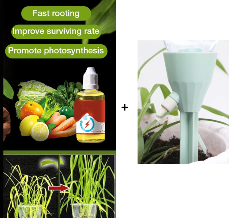 RootRise – Rapid Plant Growth Enhancer