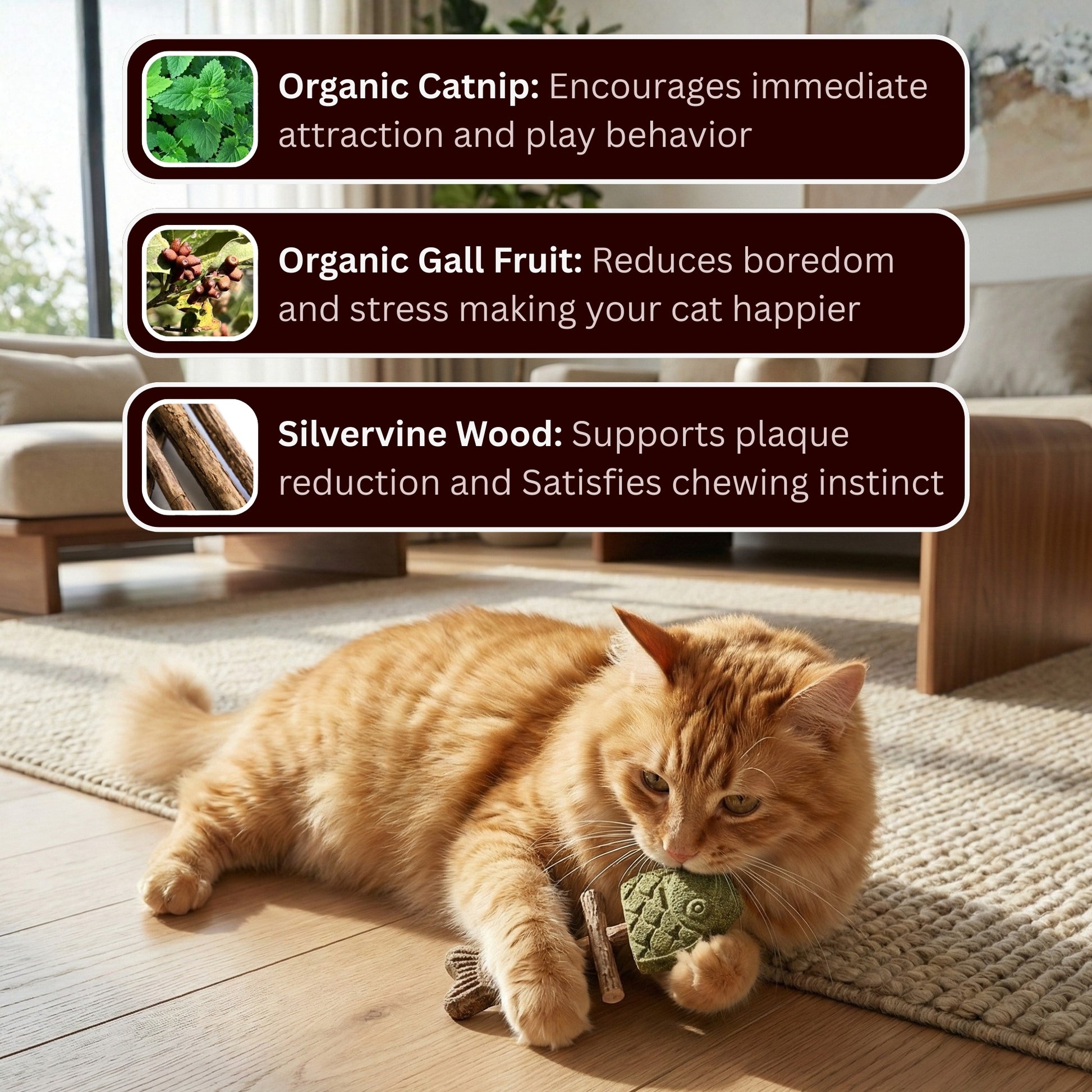 PawZest – Natural Catnip Chew Stick Fish