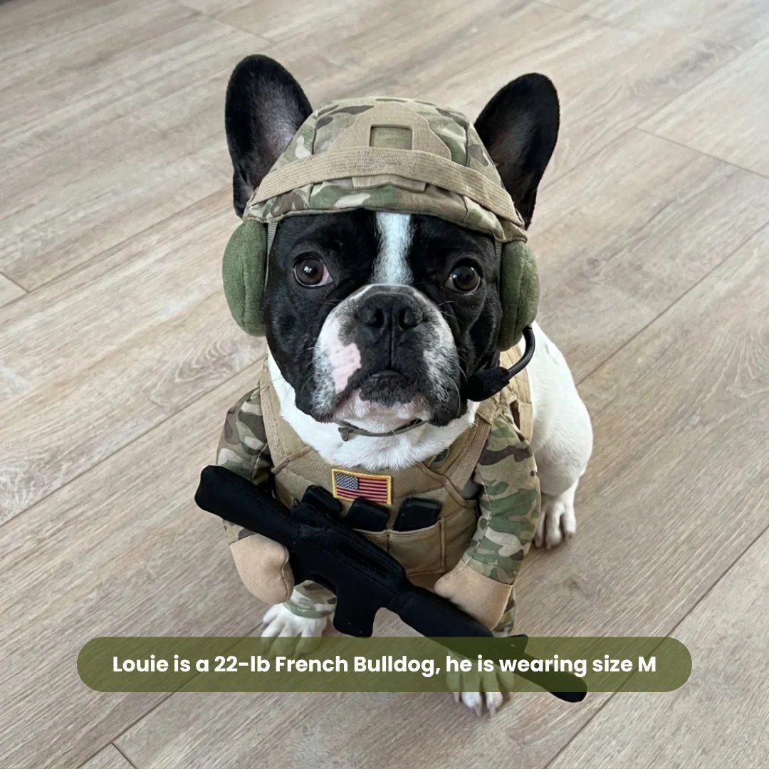 ValorPaws – Tactical Soldier Pet Costume