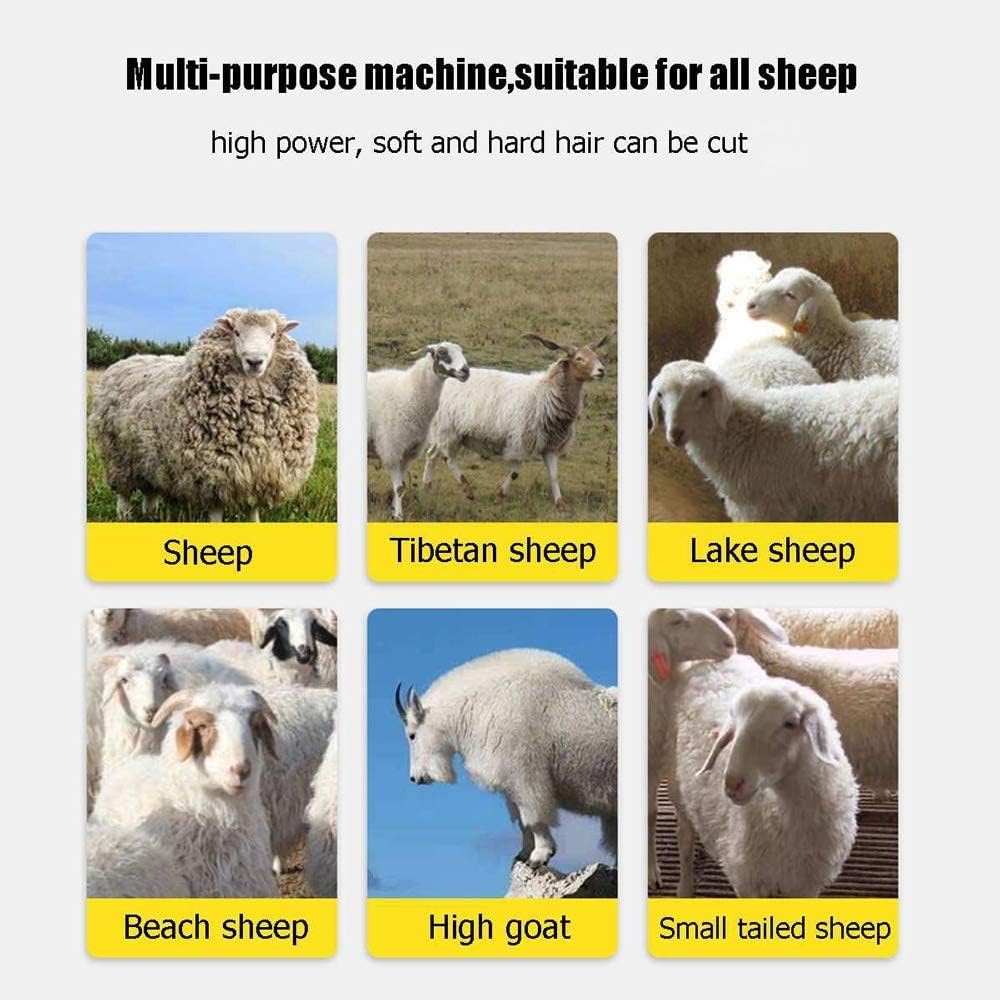 ShearPro – 6-Speed Professional Sheep & Livestock Clipper