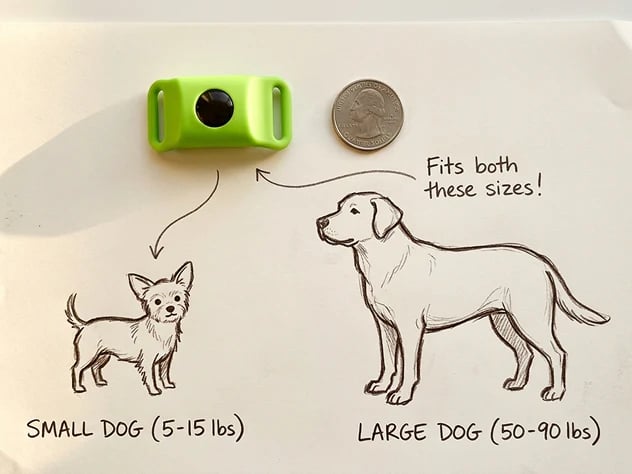 PawShield – Natural Flea & Tick Protection Tag