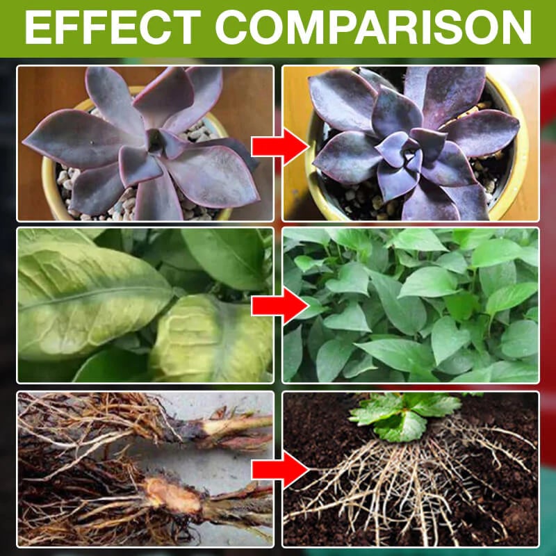 TerraBoost – Root Growth Accelerator