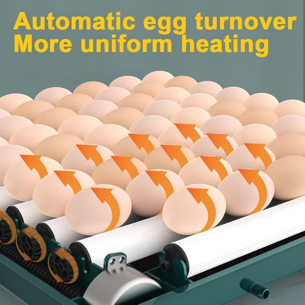 HatchVanta – 38-Egg Automatic Digital Egg Incubator