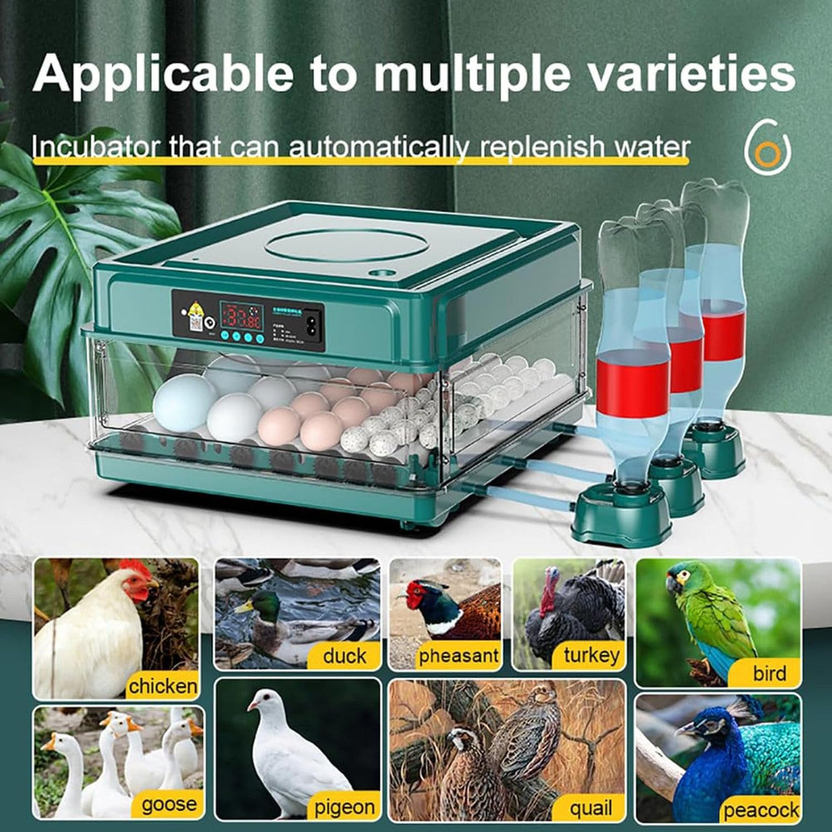 HatchVanta – 38-Egg Automatic Digital Egg Incubator