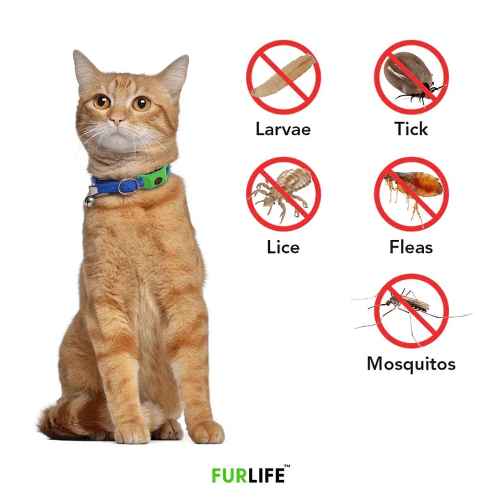 PawShield – Natural Flea & Tick Protection Tag