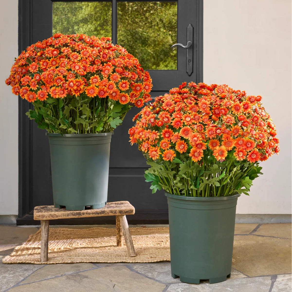 FallPetals – UV-Resistant Seasonal Flower Bundles