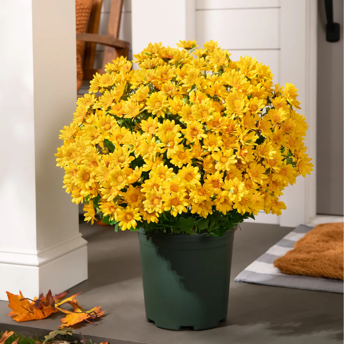 FallPetals – UV-Resistant Seasonal Flower Bundles