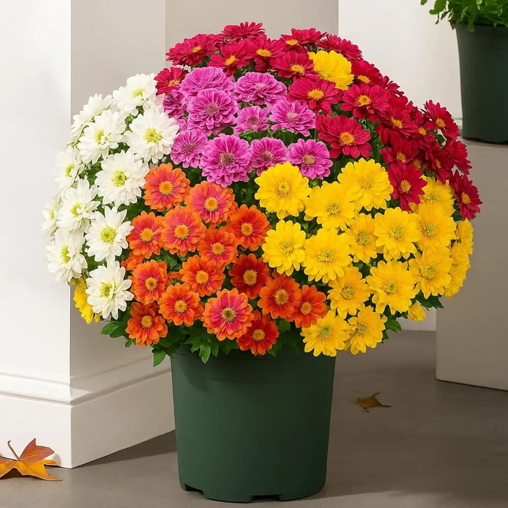 FallPetals – UV-Resistant Seasonal Flower Bundles