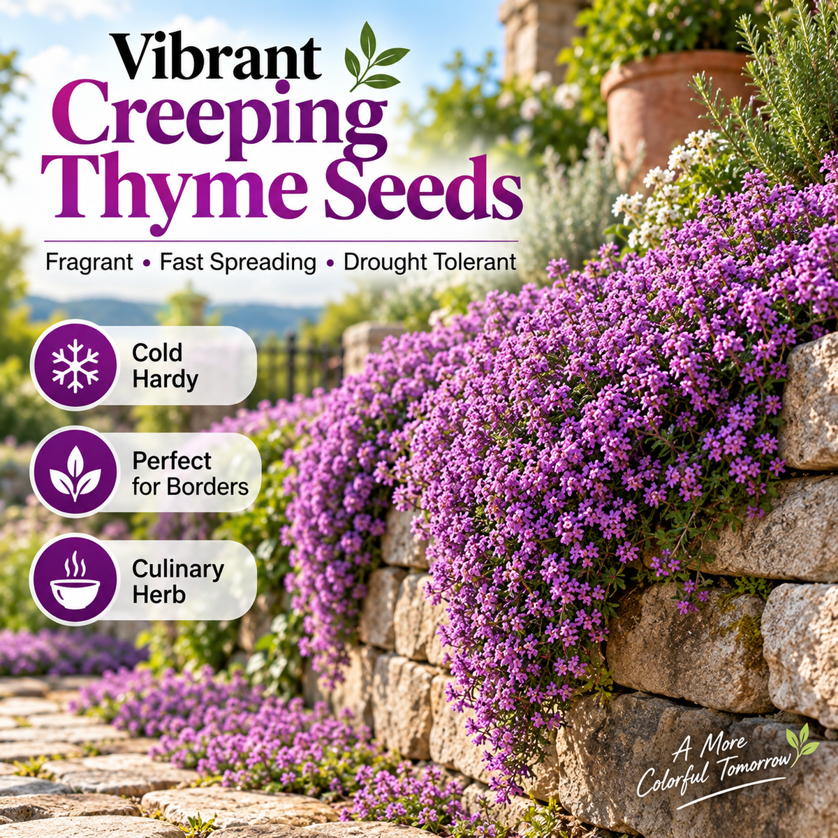 FloraCreep – Colorful Ground Cover Flower Seeds