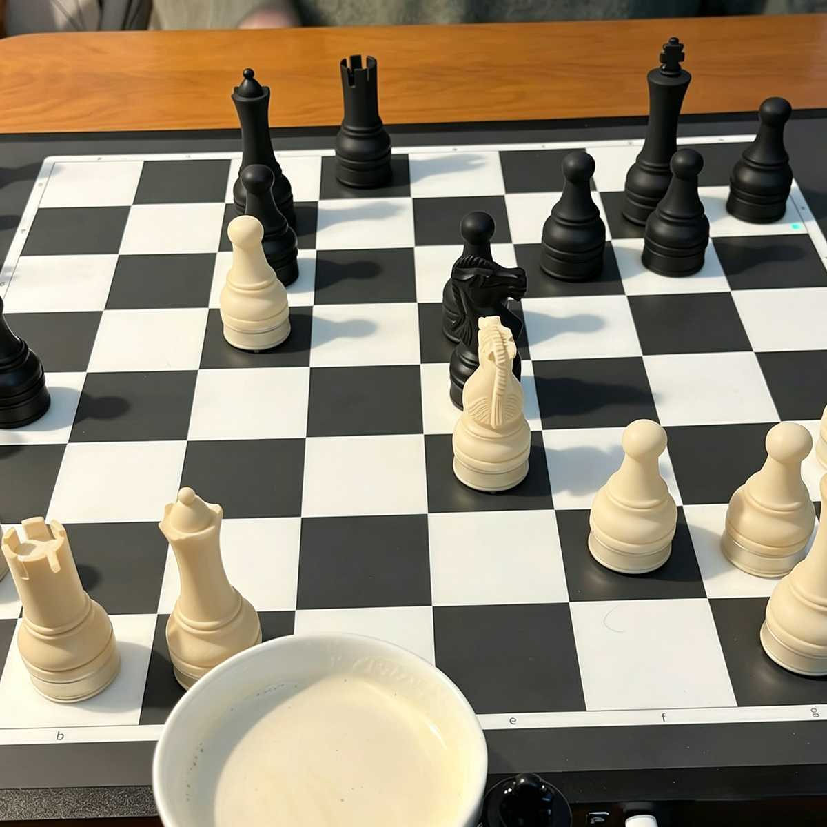 RoyalMove – Classic Magnetic Chess Set