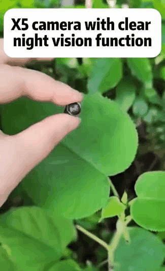 MicroWatch – Real-Time Security Camera