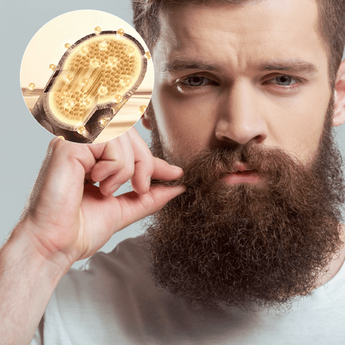 Novagroom – Body Hair Remover
