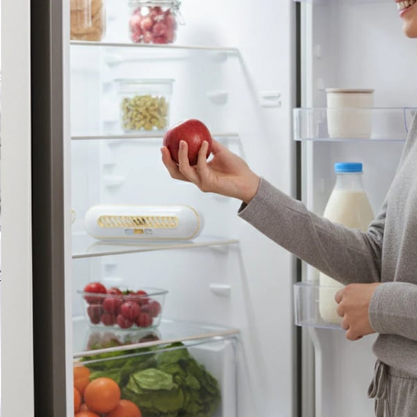 PureChill – Rechargeable Refrigerator Deodorizer