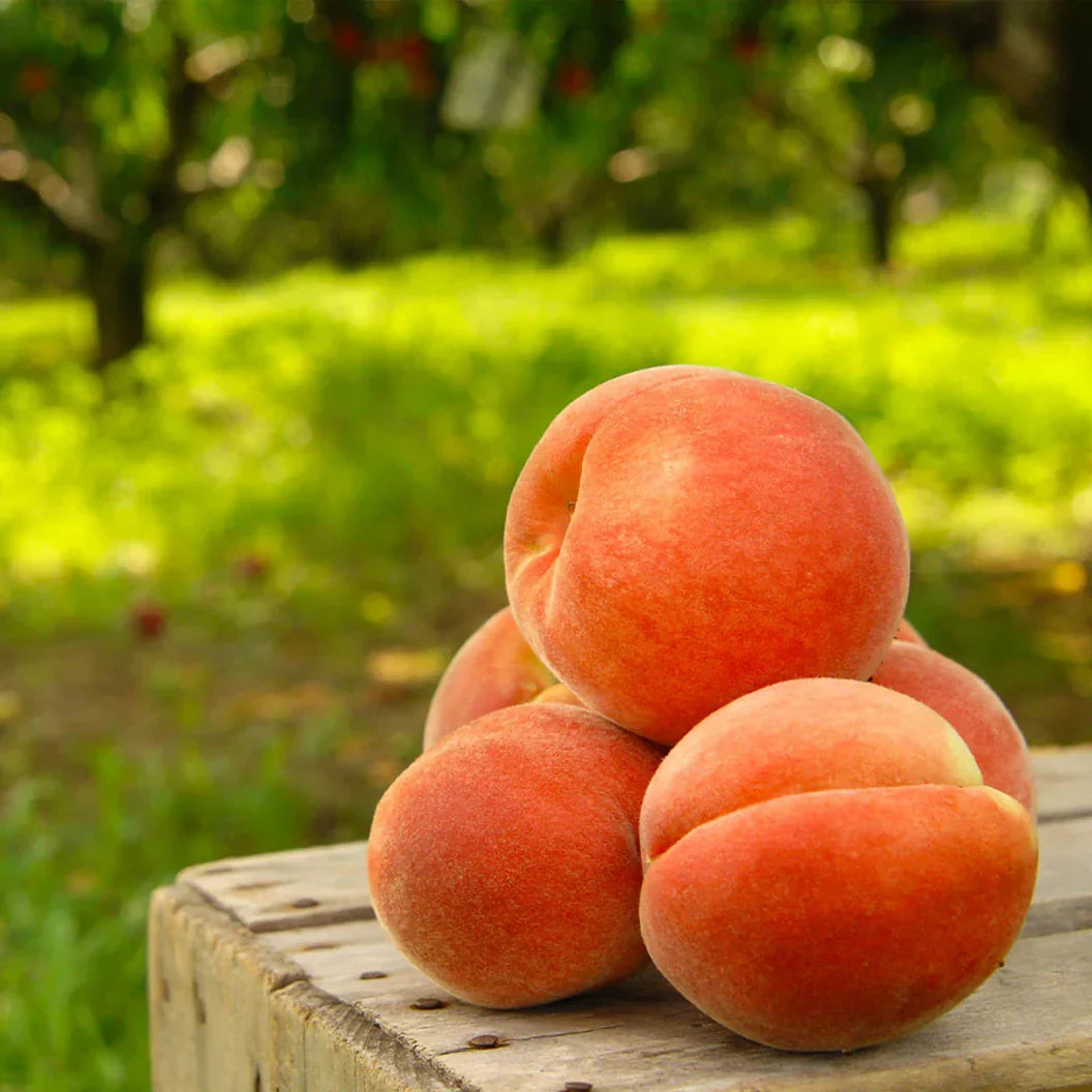 PeachNest – Premium Water Peach Garden Seeds