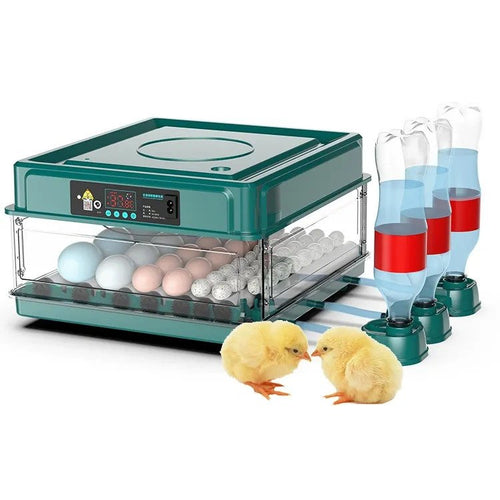 HatchVanta – 38-Egg Automatic Digital Egg Incubator