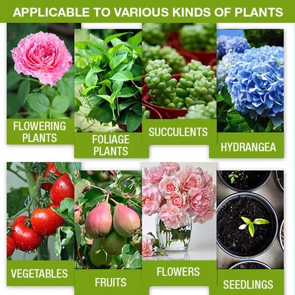 RootRise – Rapid Plant Growth Enhancer