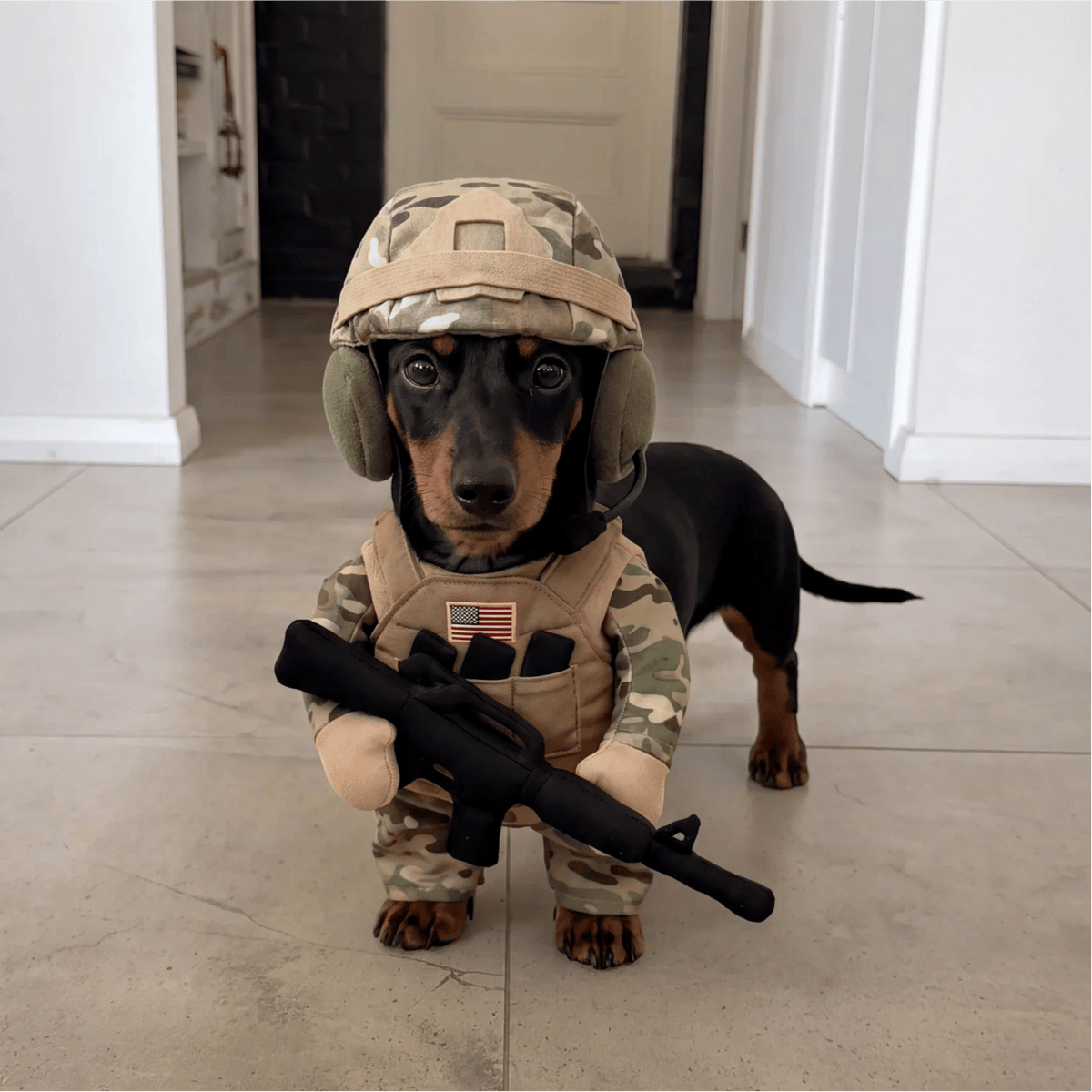 ValorPaws – Tactical Soldier Pet Costume