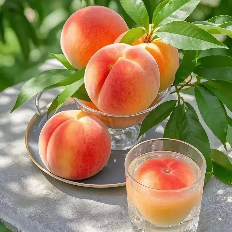 PeachNest – Premium Water Peach Garden Seeds