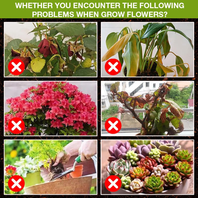 RootRise – Rapid Plant Growth Enhancer