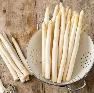 Four Seasons Asparagus Mary Washington Seeds