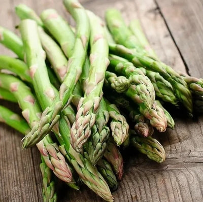 Four Seasons Asparagus Mary Washington Seeds
