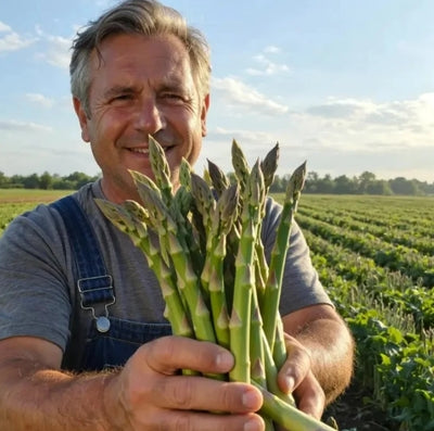 Four Seasons Asparagus Mary Washington Seeds