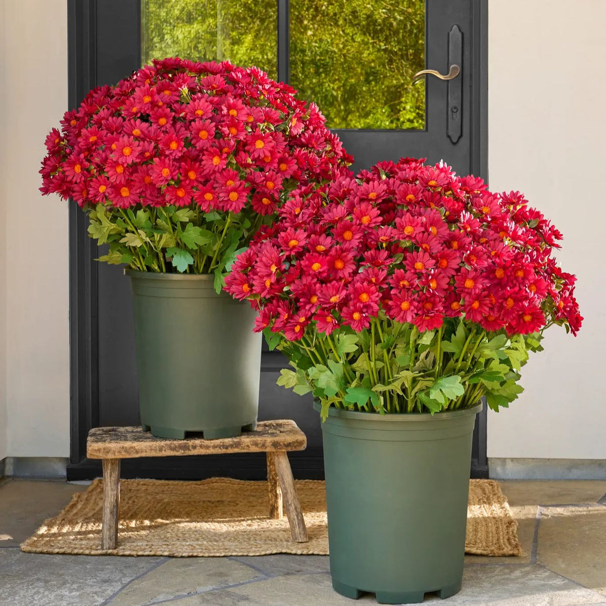 FallPetals – UV-Resistant Seasonal Flower Bundles