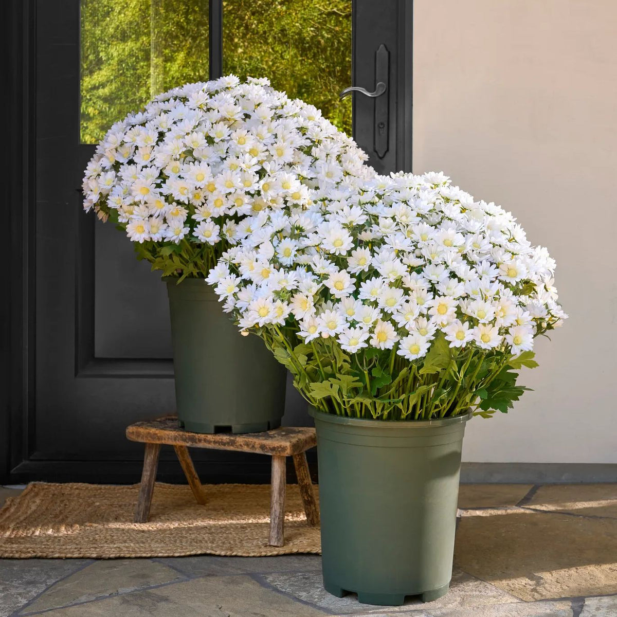 FallPetals – UV-Resistant Seasonal Flower Bundles