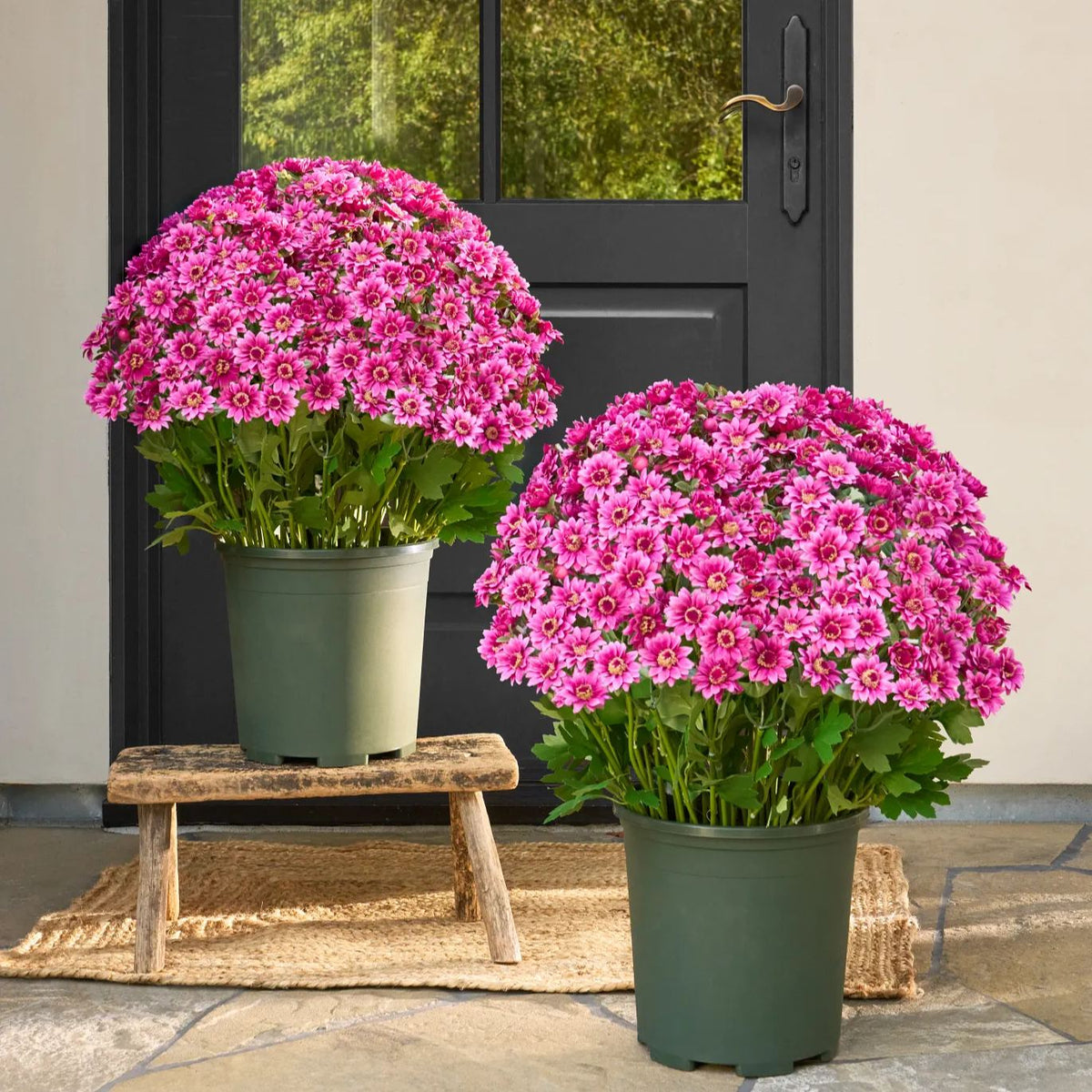 FallPetals – UV-Resistant Seasonal Flower Bundles