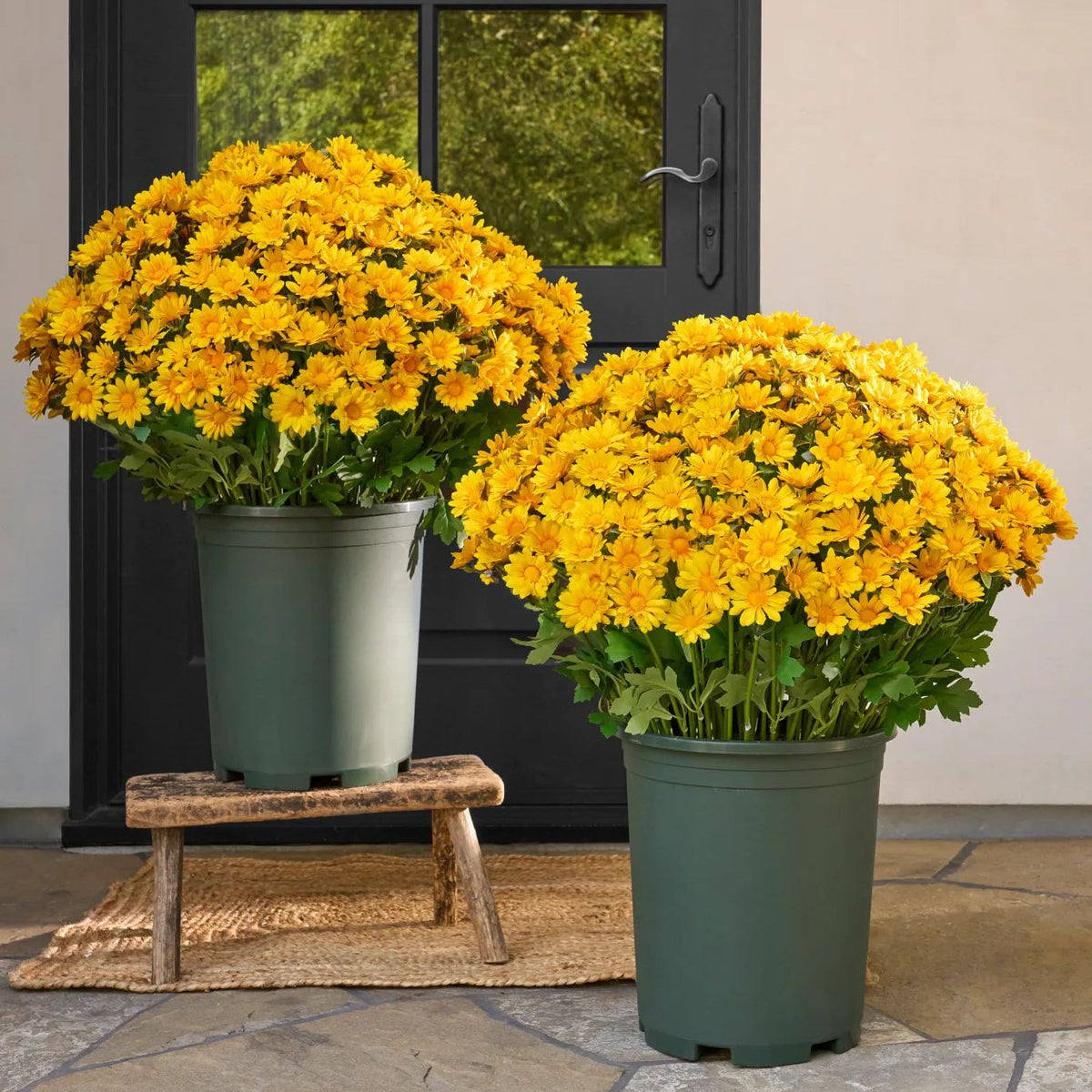 FallPetals – UV-Resistant Seasonal Flower Bundles