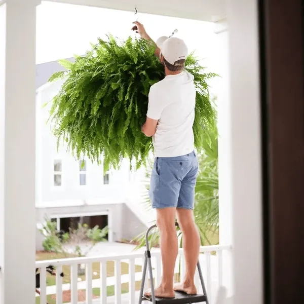 GreenCascade – Full Artificial Boston Fern Bush