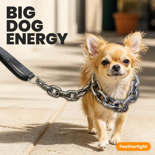 MiniMacho – Oversized Lightweight Dog Chain Accessory