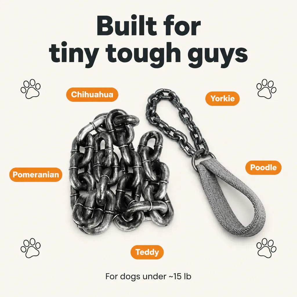 MiniMacho – Oversized Lightweight Dog Chain Accessory