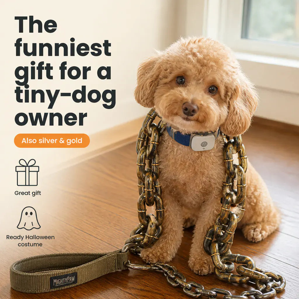 MiniMacho – Oversized Lightweight Dog Chain Accessory