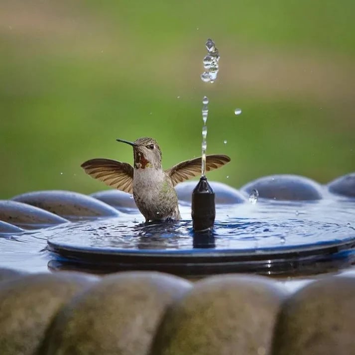 SolaraFlow – Solar Bird Bath Fountain Pump