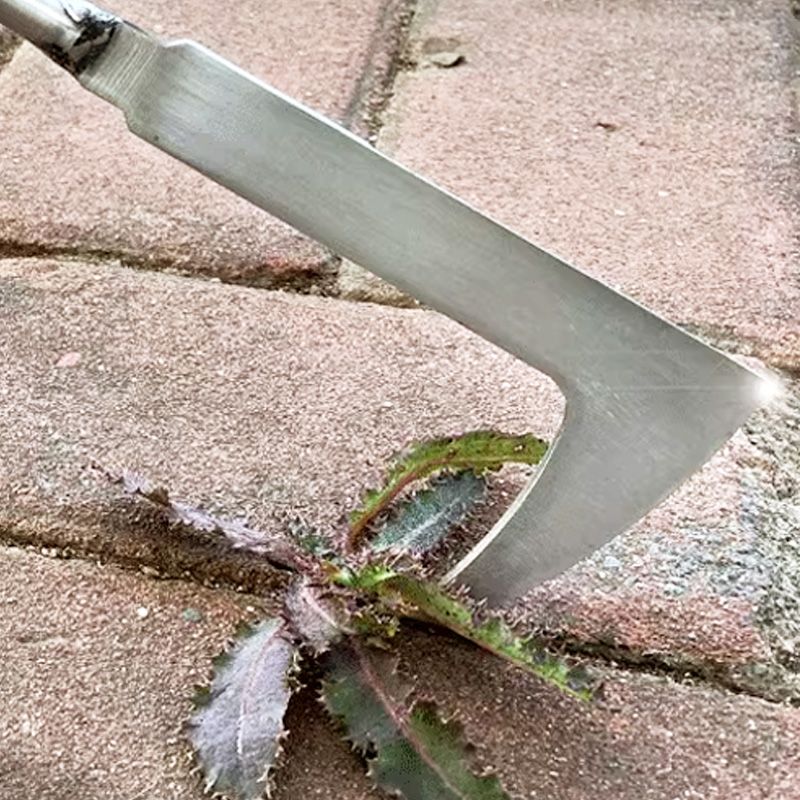 GardenEdge – Stainless Steel Crevice Weeder